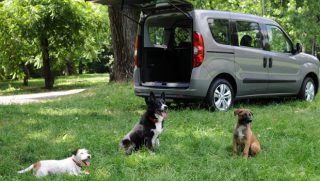 Opel combo pet lovers edition
